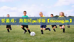 揭阳硅pu球场