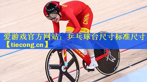 乒乓球台尺寸标准尺寸