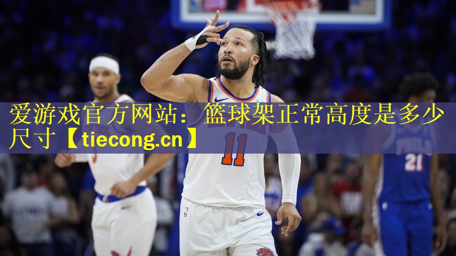 篮球架正常高度是多少尺寸